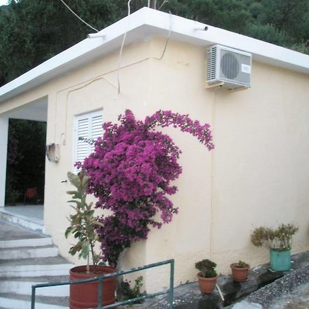 Faliraki Apartments ベニテス エクステリア 写真