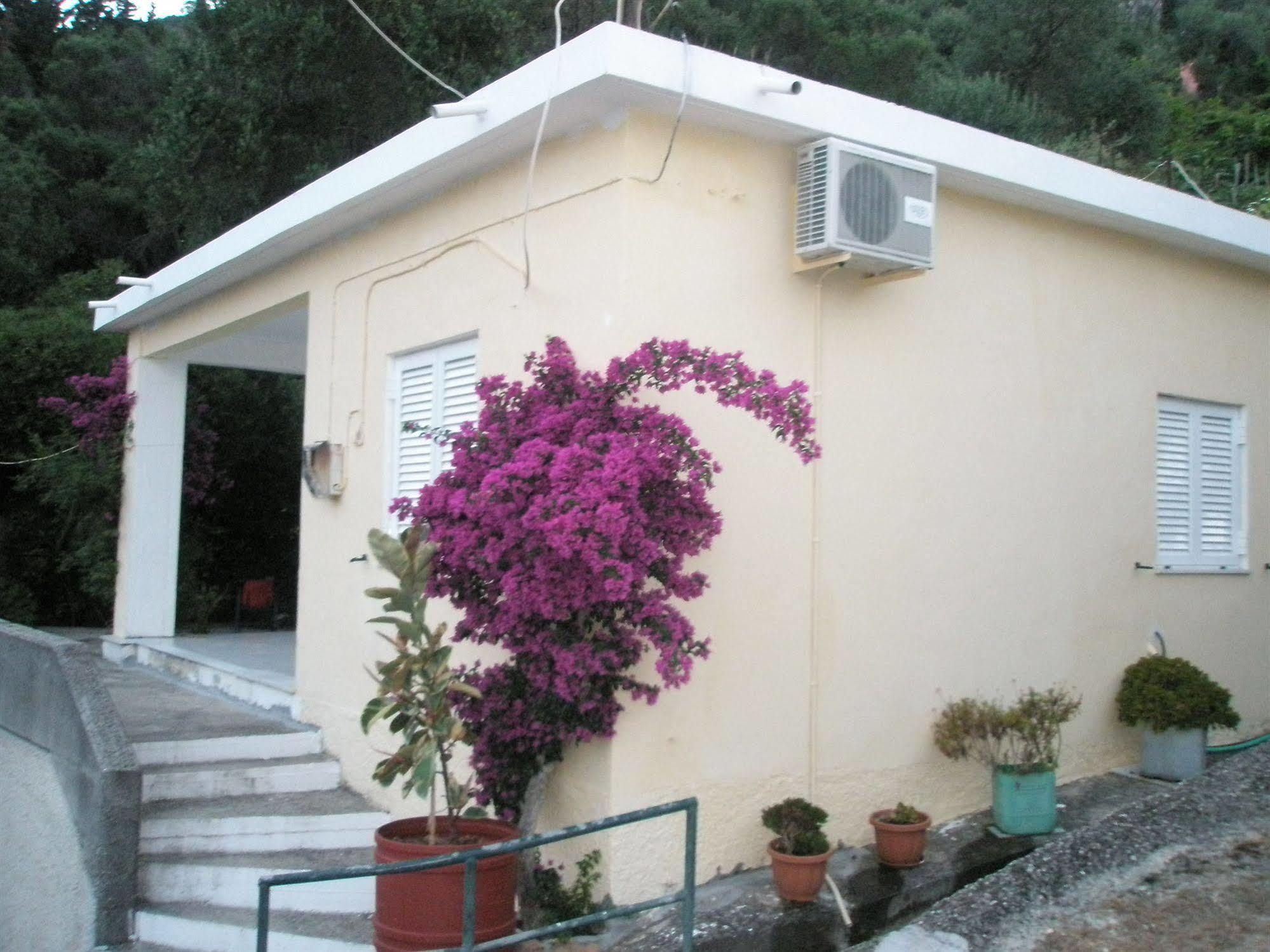 Faliraki Apartments ベニテス エクステリア 写真